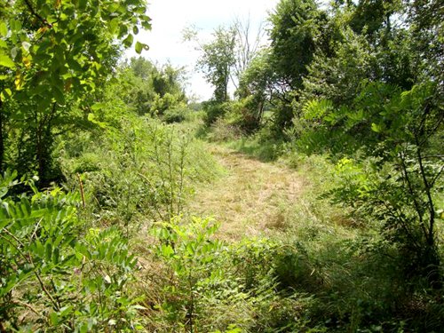 Property photo 3 - AUCTION CANCELLED TONIGHT!! SOLD Prior to Auction! 84+/- Acres Offered in 4 Tracts